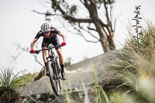 Demo Day 2025 AMflow 2.1.26 