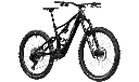 Amflow PX Carbon_02 copy.webp