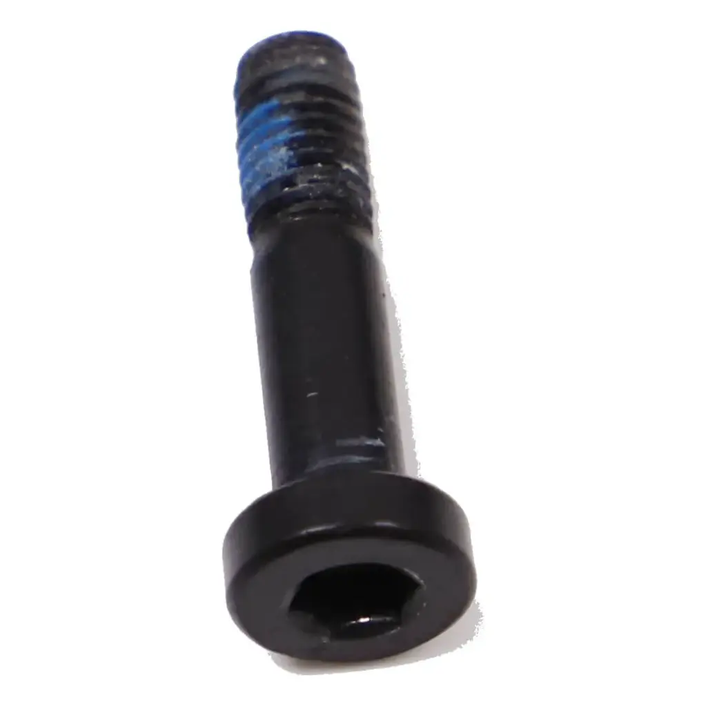 Battery Module (800 Wh) Screw (M5x22)